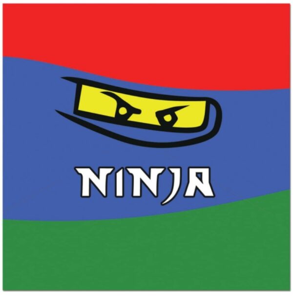 Serwetki papierowe NINJA 20 sztuk