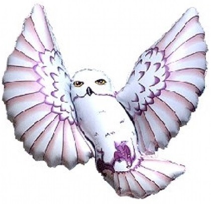Balon Foliowy Sowa Hedwiga Harry Potter