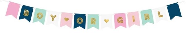 Baner BOY or GIRL Baby Shower
