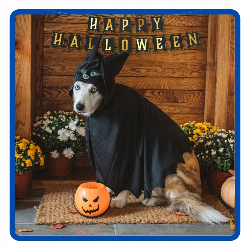 Baner Girlanda papierowa HAPPY HALLOWEEN 250 cm HAL-086 - obrazek 4
