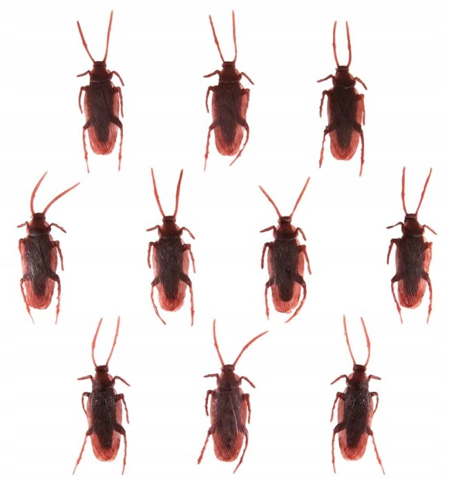 Konfetti Halloween Karaluchy