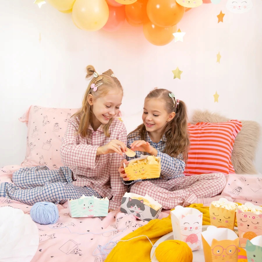 Pudełka na chipsy Kot Koty Kotki Kotek mix 3 sztuki Urodziny - obrazek 2