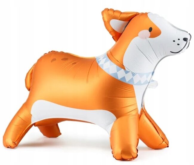 balon piesek corgi