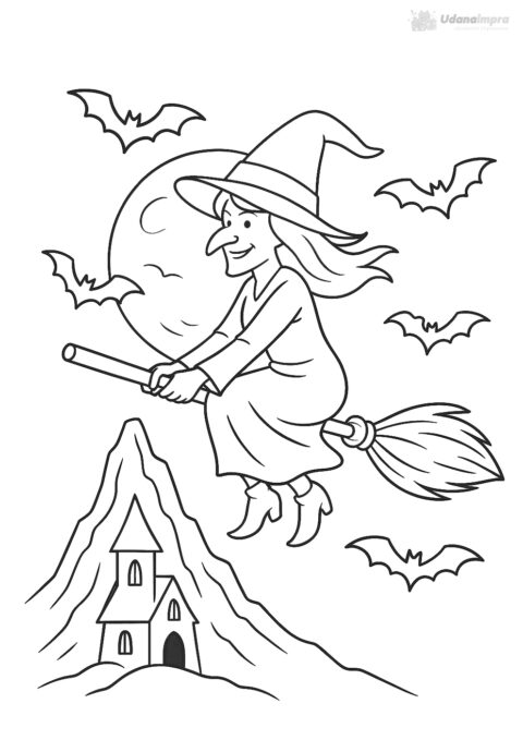 czarownica na miotle