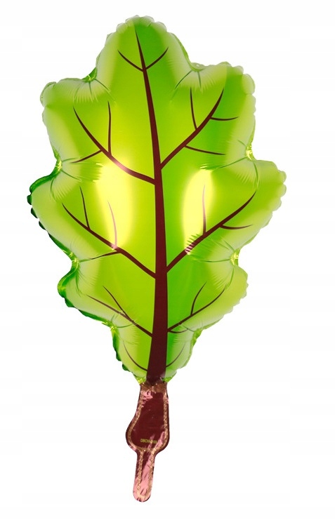 balony Liść dębu zielony