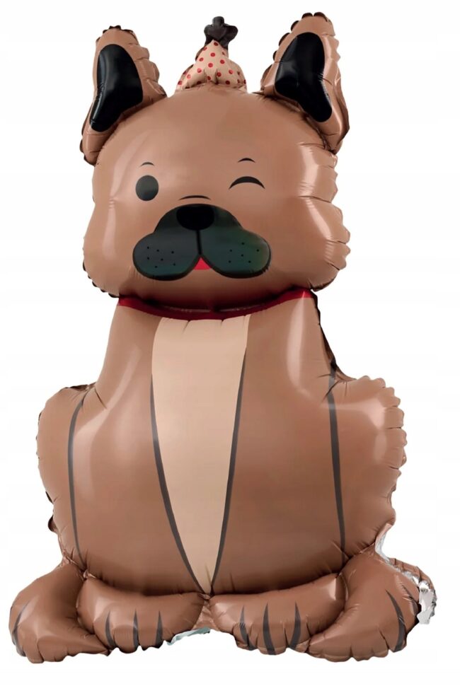 Balon foliowy stojący Pies Buldog z czapeczką 60x98 cm Urodziny P36