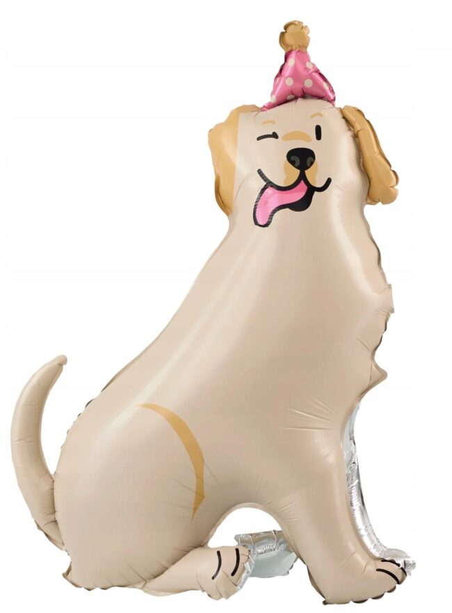 Balon foliowy stojący Pies Golden z czapeczką 76x96 cm Urodziny P38