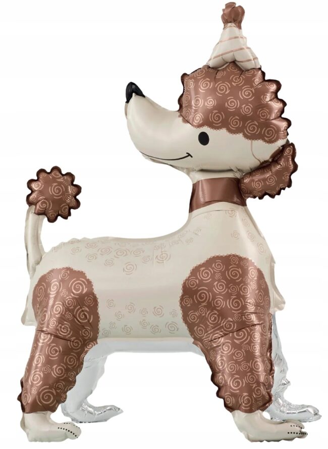 Balon foliowy stojący Pies Pudelek z czapeczką 58x84 cm Urodziny P35